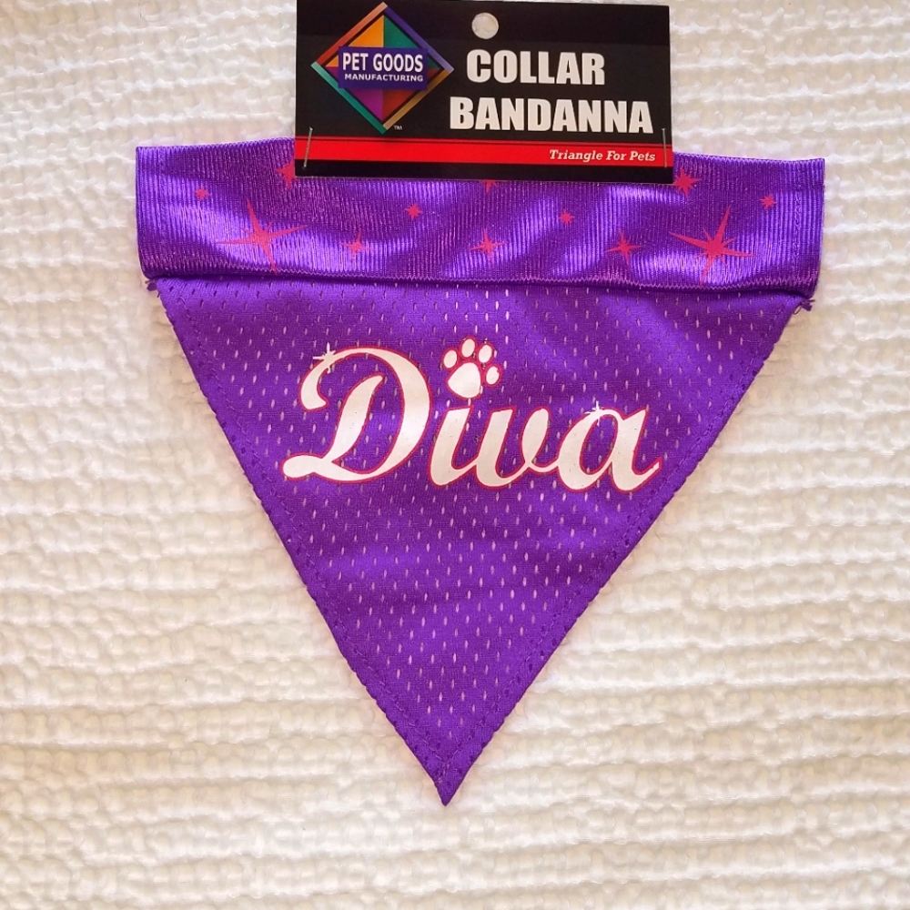 🐩Dog Collar Bandana